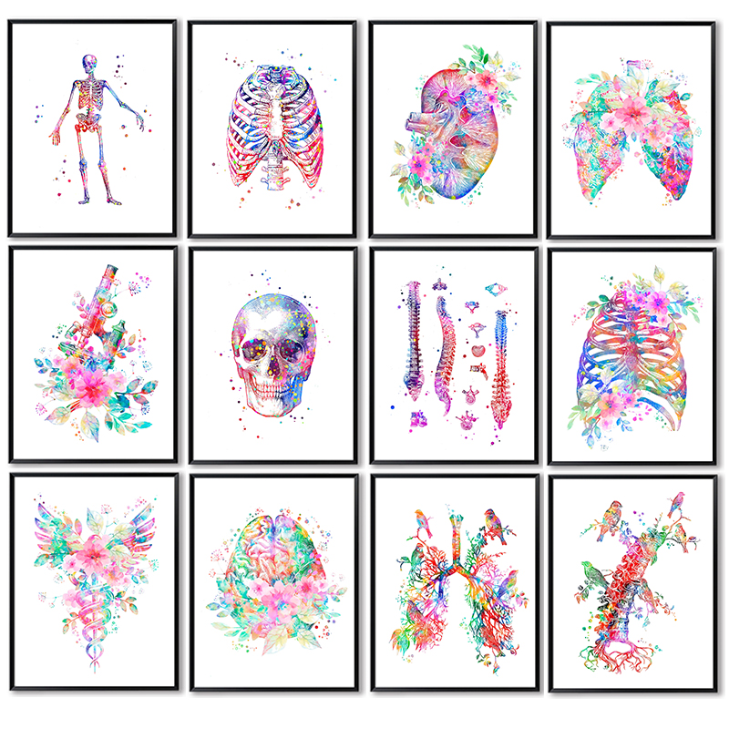Medical Lab Pictures - โปสเตอร์ทางการแพทย์ ภาพวาดดอกไม้บนผืนผ้าใบ ศิลปะตกแต่งผนัง ภาพประกอบทางมนุษยวิทยา สำหรับตกแต่งห้องแพทย์ในห้องปฏิบัติการ