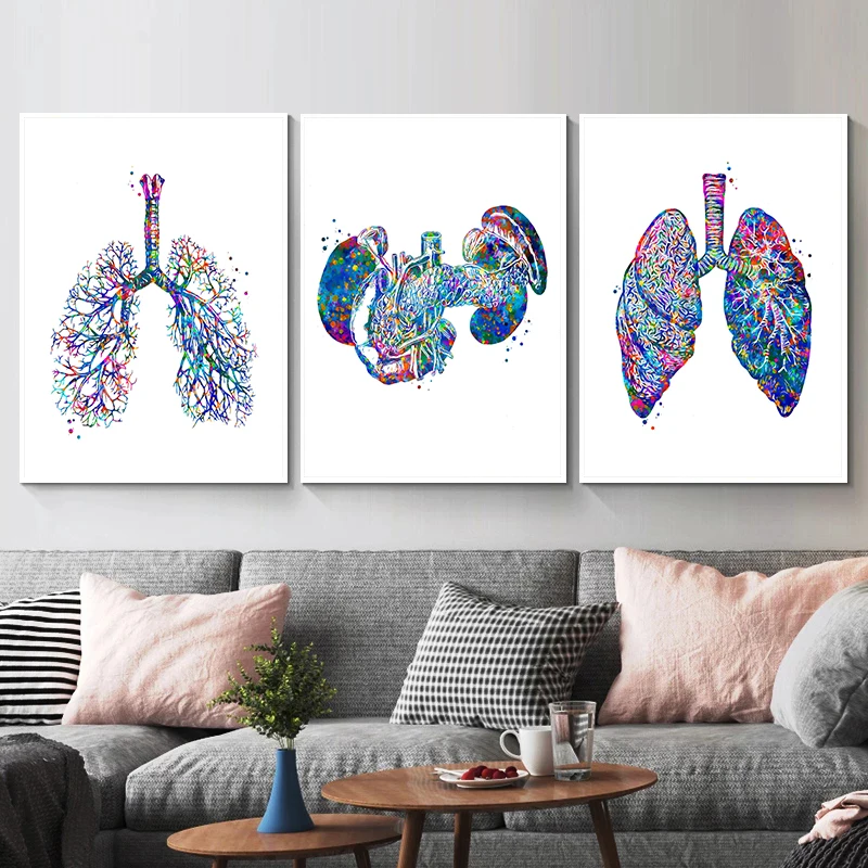 Anatomy Medical Poster Flower  - Medical Lab Pictures บทวิจารณ์และราคา