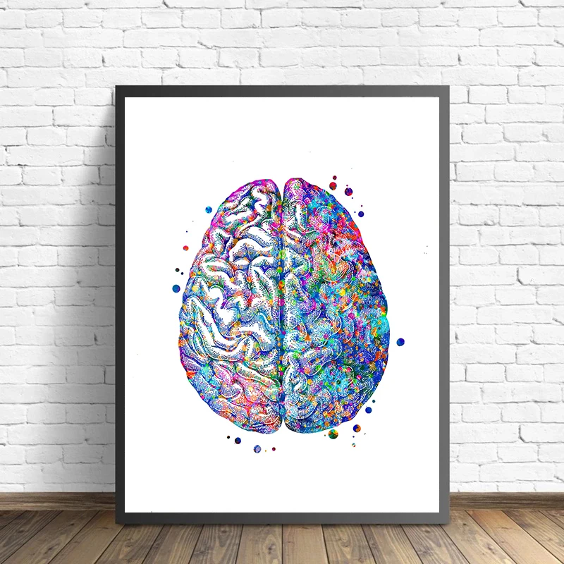 Anatomy Medical Poster Flower  - Medical Lab Pictures บทวิจารณ์และราคา