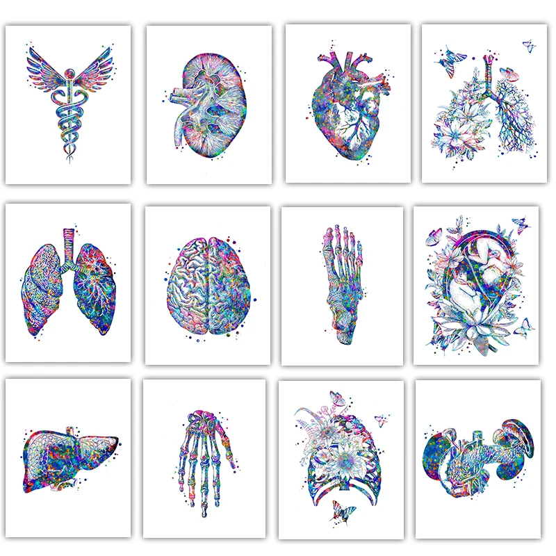 โปสเตอร์ทางการแพทย์ ภาพวาดดอกไ - Medical Lab Pictures บทวิจารณ์และราคา