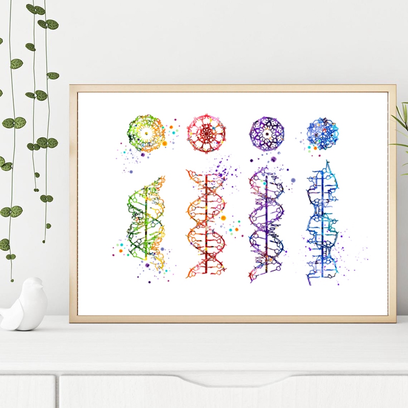 DNA โมเลกุลพิมพ์ Modern Medica - Medical Lab Pictures บทวิจารณ์และราคา