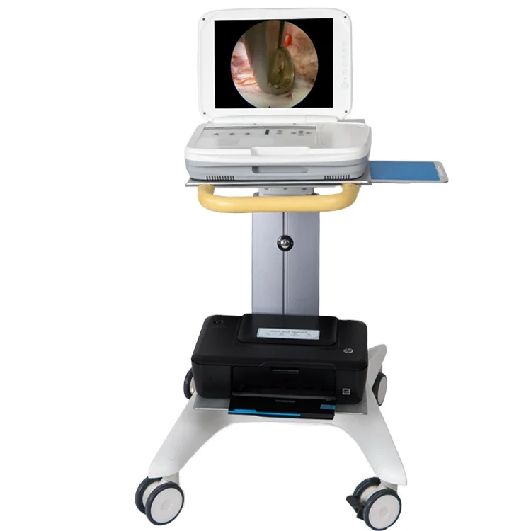 YKD-9003 ระบบกล้องเอนโดสโคปแบบ - Medical Lab Images บทวิจารณ์และราคา
